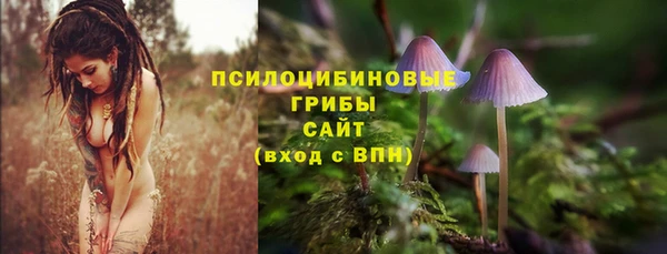 соль курить ск Алексин