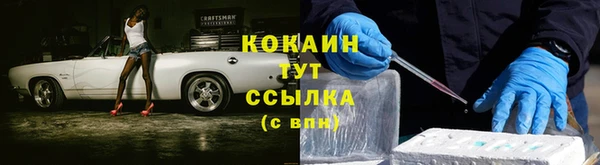 соль ск Алзамай